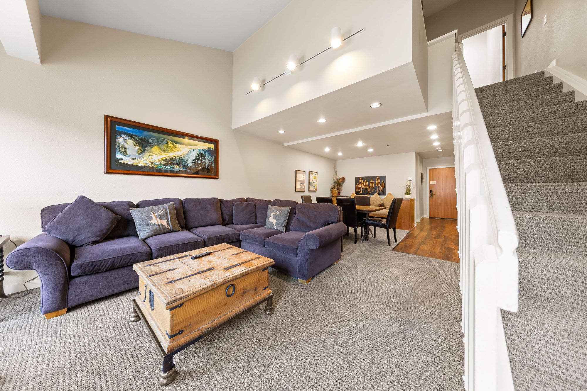 Televisio, DVD-soitin, pöytätennispöytä