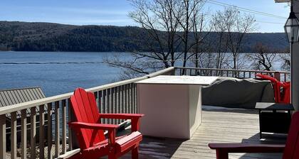 Lion View ~ Otsego Lake ~ Sleeps up to 10