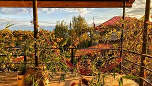 A covered outdoor area with a hammock, bamboo plants, and a wooden table. - Varga Kvareli (Kvareli)