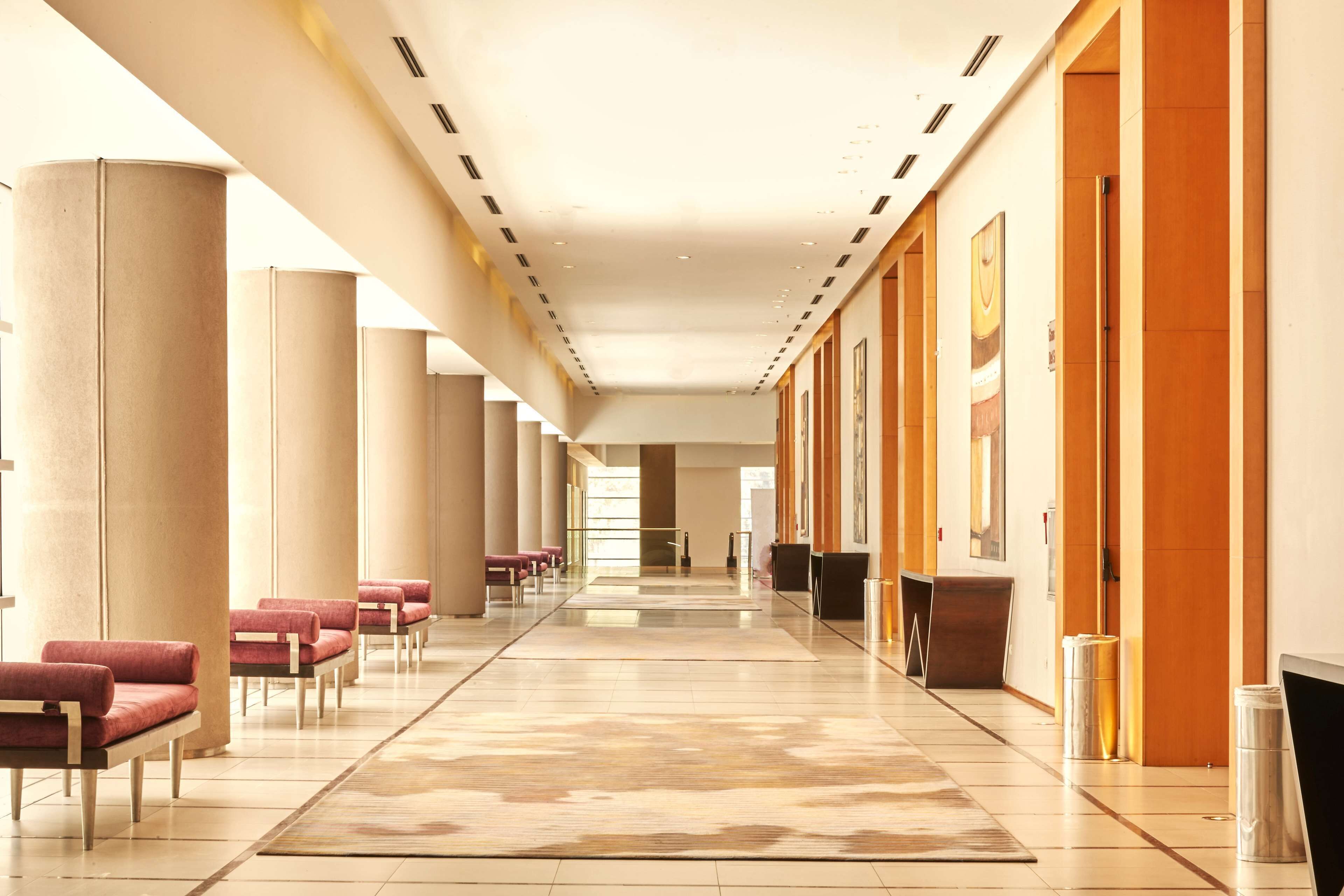 Foto - Hilton Mendoza