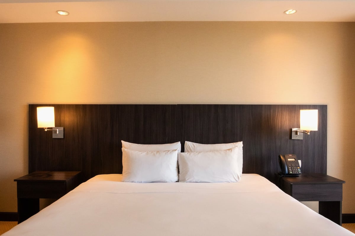 Room, 1 King Bed