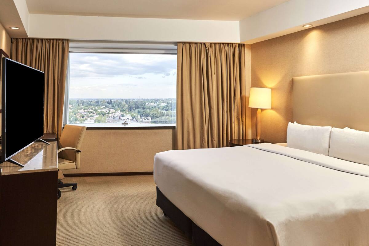 A hotel room with a large bed, a desk with a TV, a chair, a lamp, and a view of a cityscape through a window.