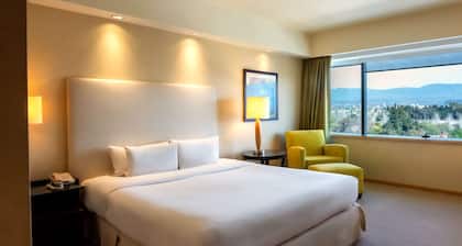 Hilton Mendoza