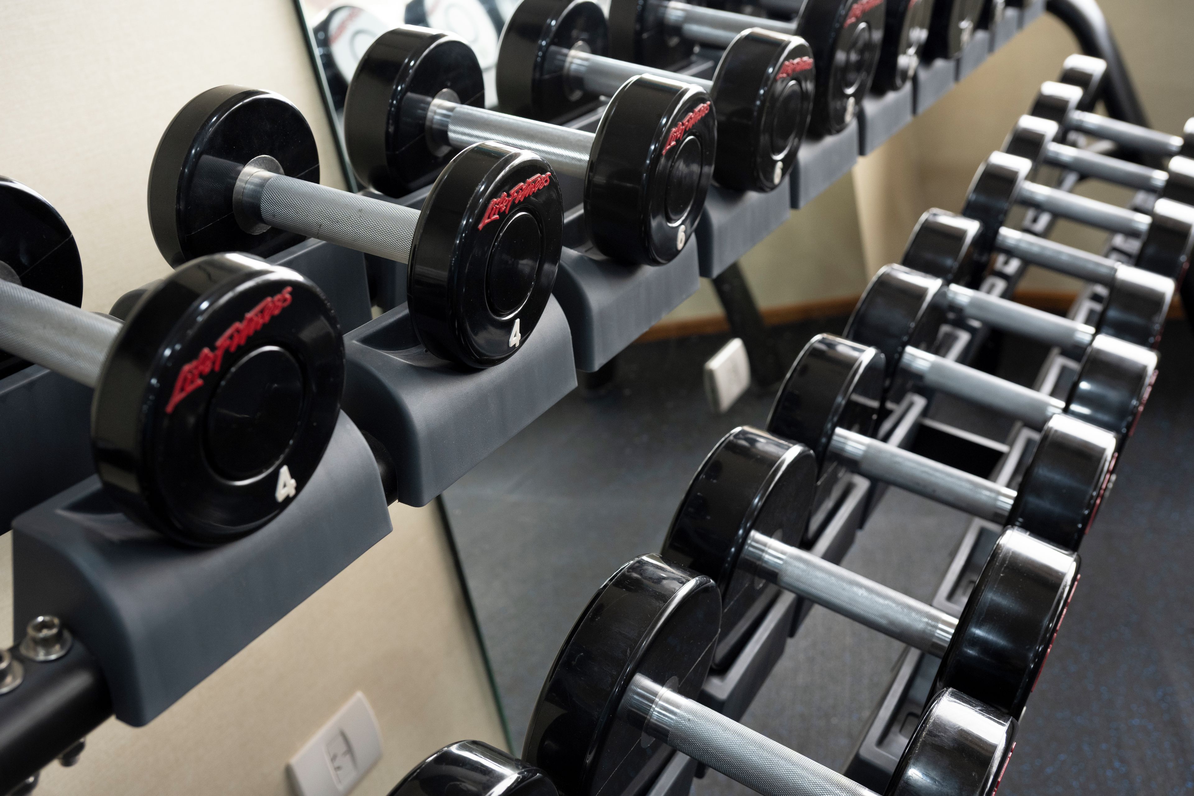 A row of dumbbells on a rack in a gym.