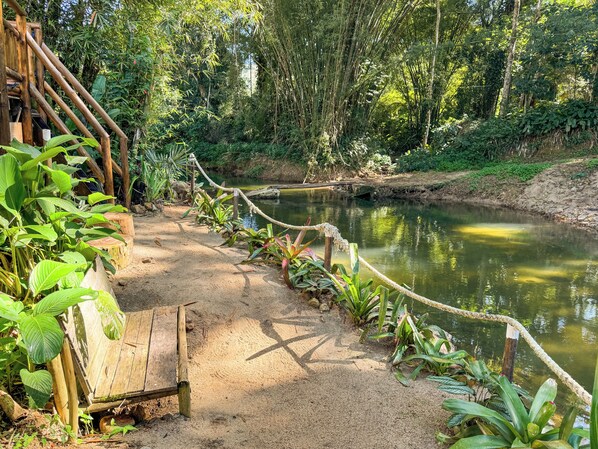 Área de parrillas y picnic