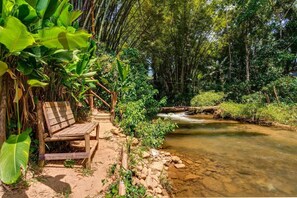 A wooden bench by a clear stream surrounded by lush greenery and bamboo trees. - Pousada Entre Folhas (Paraty)