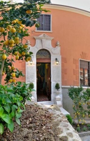 Detalle exterior