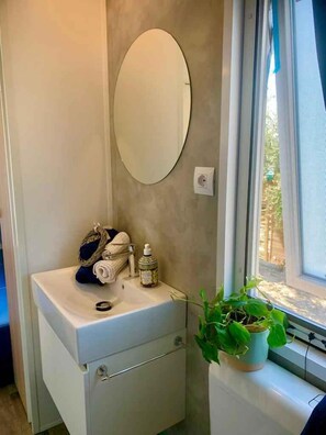 A bathroom with a white sink, a mirror, a towel, a soap dispenser, and a potted plant by the window.