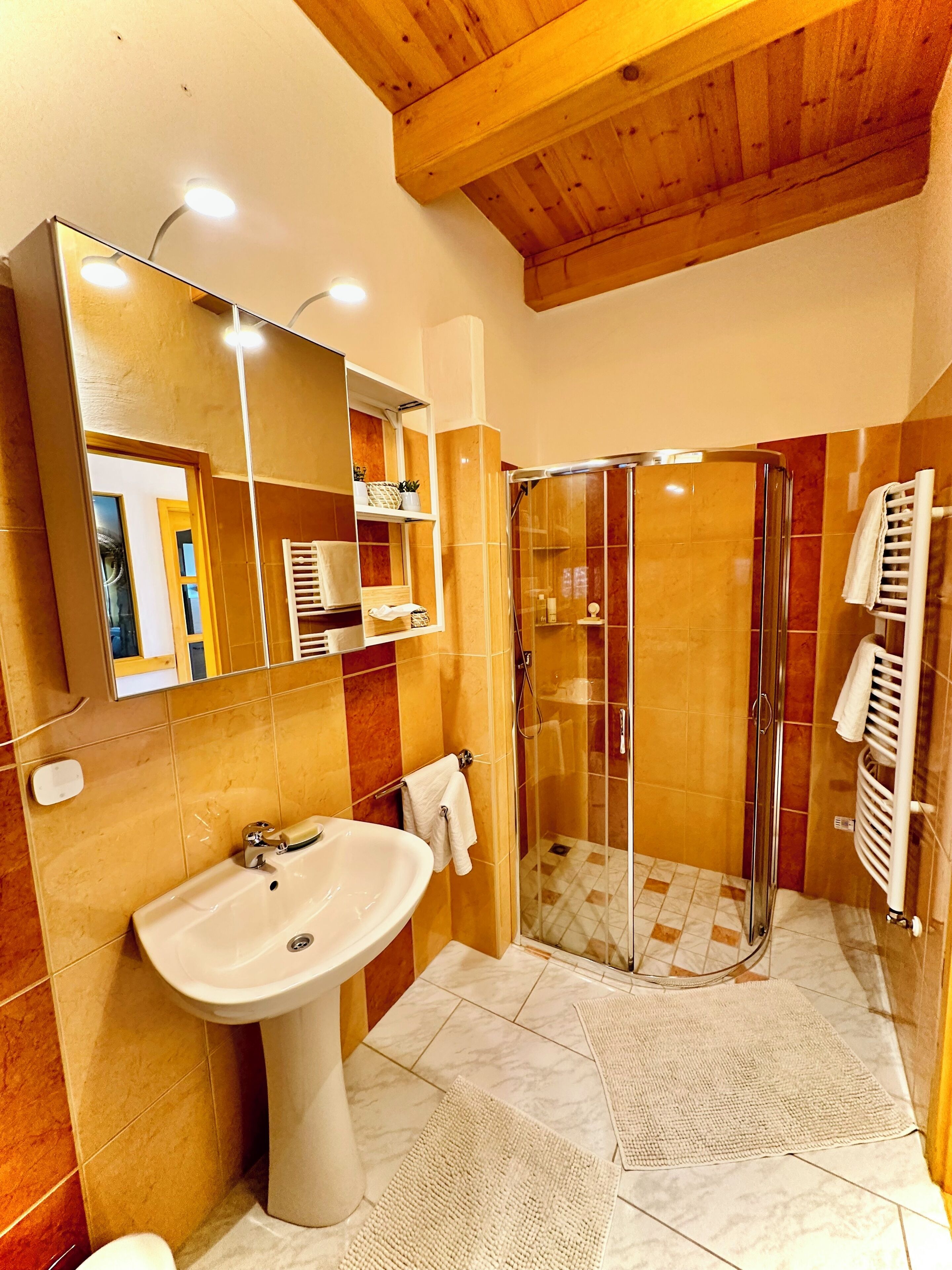 Chuveiro, secador de cabelo, toalhas de banho, sabonete