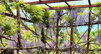 Vacation home with garden paradise.Family & nature-oriented living.Dogs welcome!