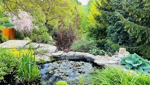 A garden with a pond, surrounded by various plants and trees.