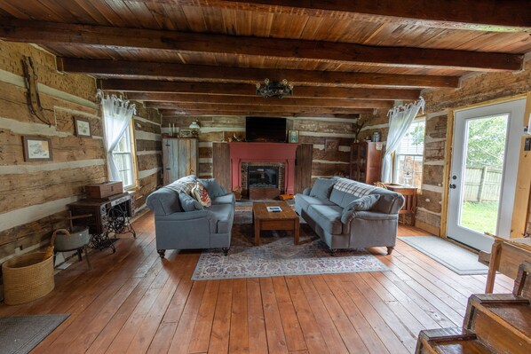 Smart TV, fireplace, books