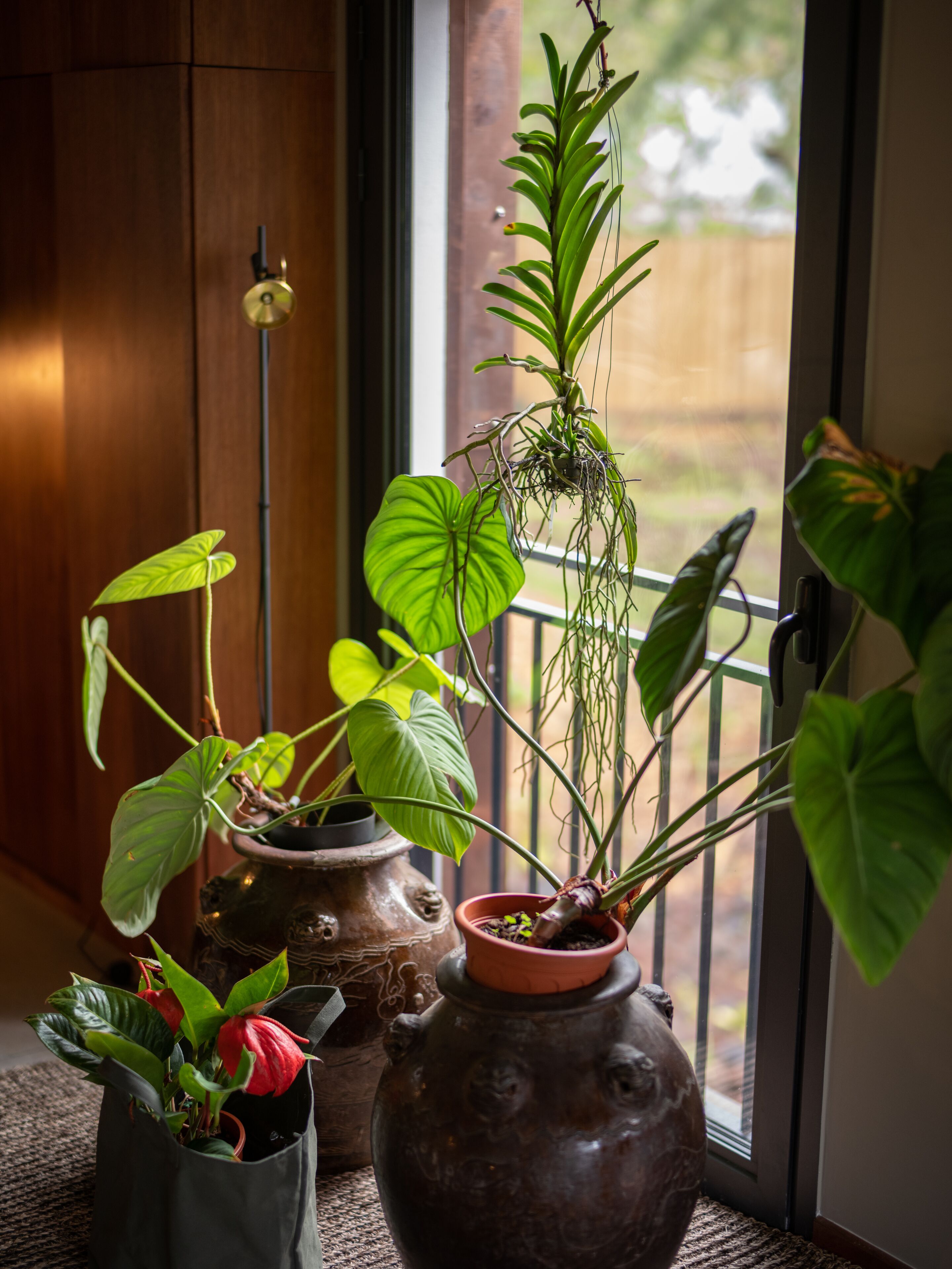 A room with a large window, a potted plant on the windowsill, and a wooden cabinet.