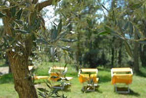 Property grounds - Foresteria 3:  Relax in a huge park, heated pool/ Jacuzzi, playground, fitness.. (Perugia)