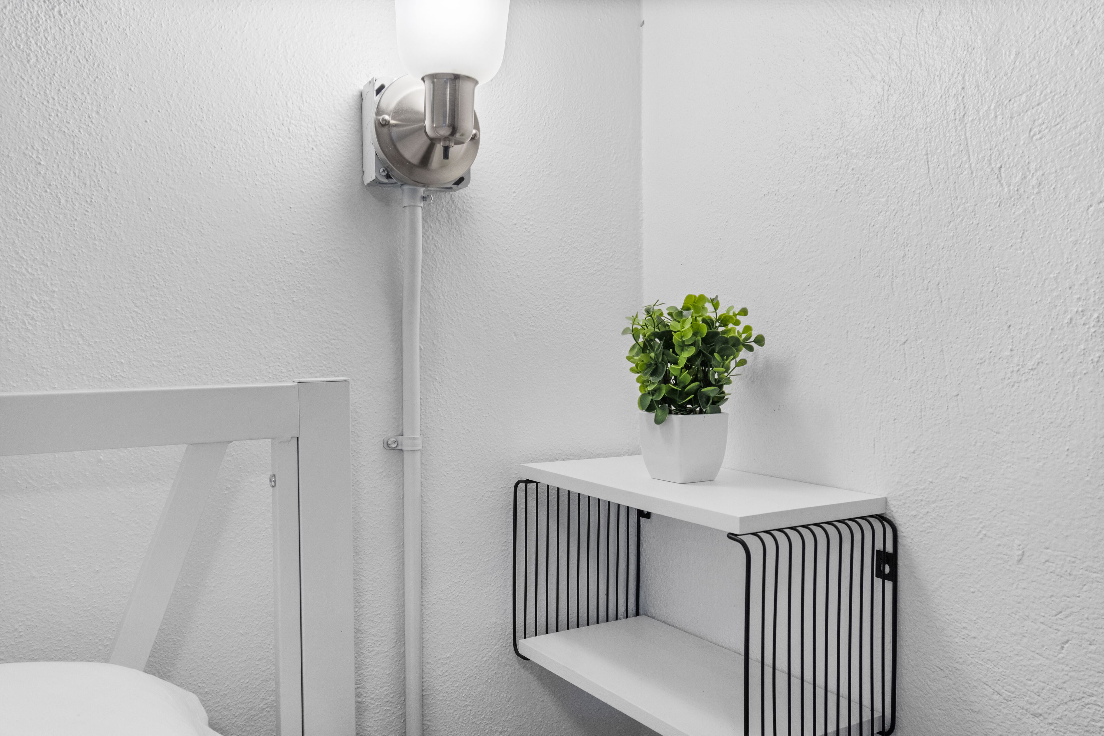 Une salle de bain avec un radiateur blanc, un luminaire fixé au mur et une plante en pot posée sur une étagère.