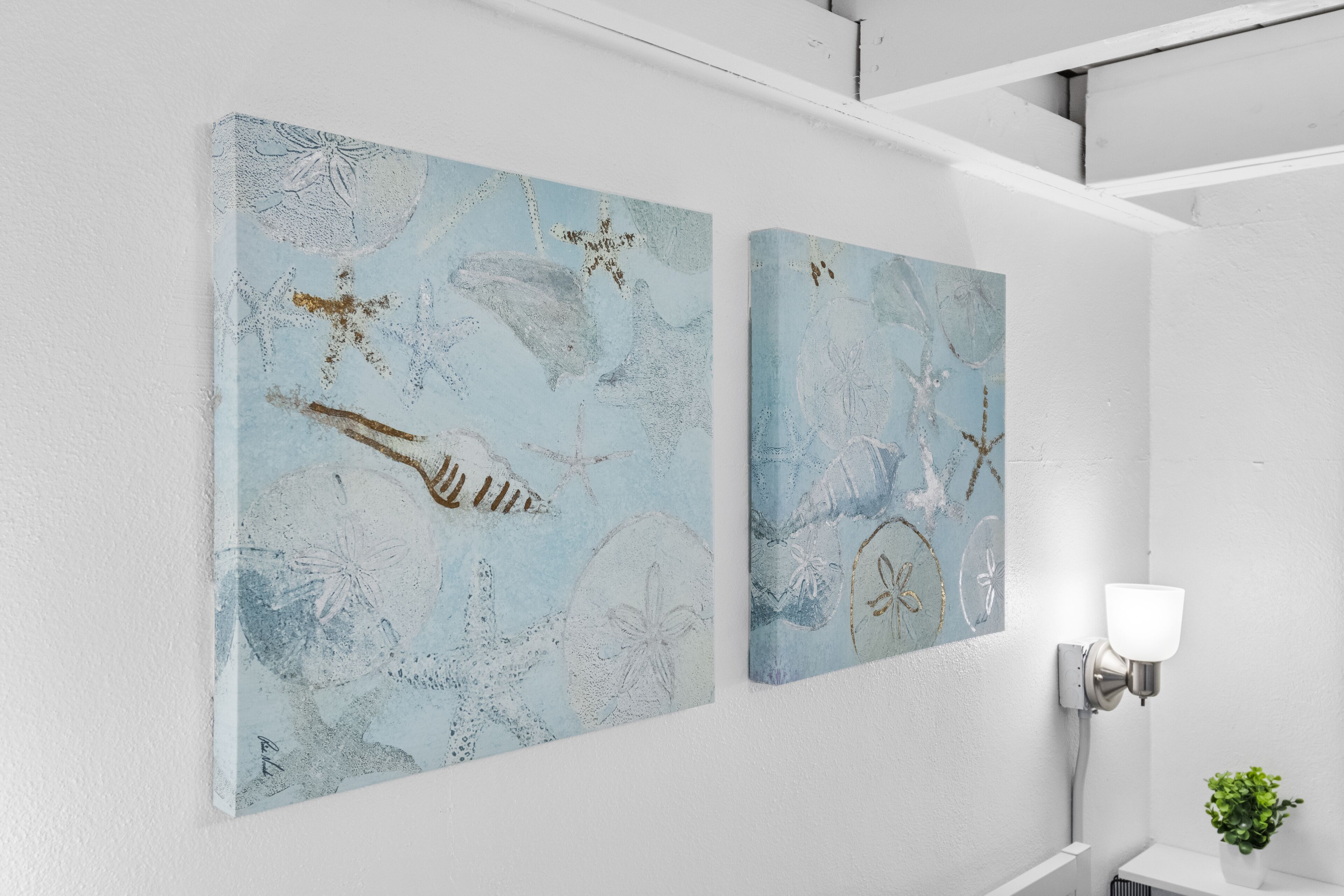 Twee kunstwerken aan de muur met afbeeldingen van zeedieren.