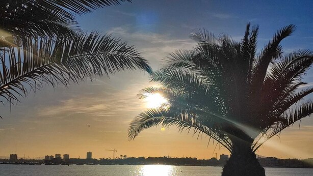 Pôr do sol sobre a água, com uma palmeira em primeiro plano e o horizonte urbano ao fundo.