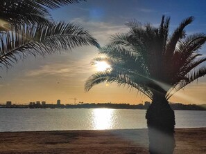 A sunset over a body of water with a palm tree in the foreground and a city skyline in the background.