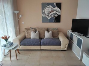 TV connectée, lecteur de DVD, livres