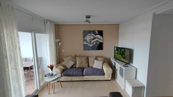 Una Smart TV, un reproductor de DVD, libros