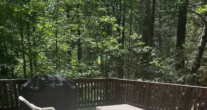 Glorious Summer at Cabin on the Creek