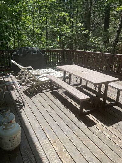 Glorious Summer at Cabin on the Creek