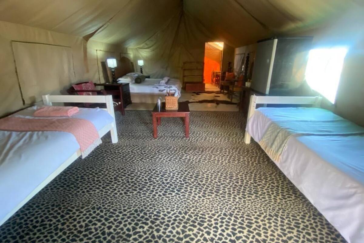 A tent with two beds, a small table, and a patterned carpet.