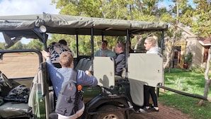 A safari vehicle with a covered top and side panels, equipped with a steering wheel and a camera mounted on the side.