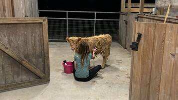 Enceinte de lâhĂ©bergement