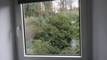 A window with a view of dense foliage and trees outside.