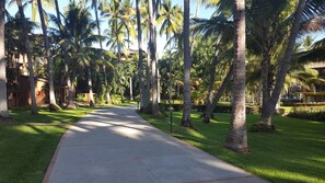 Property grounds - Beautiful Villa for rent Feb.17-24, 2024 in Puerto Vallarta with Ocean View! (Puerto Vallarta)