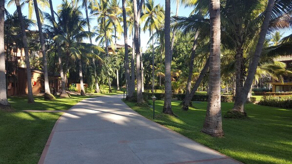 Property grounds
