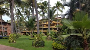 Property grounds - Beautiful Villa for rent Feb.17-24, 2024 in Puerto Vallarta with Ocean View! (Puerto Vallarta)
