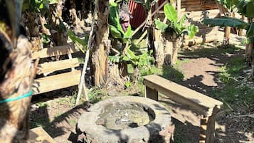 Área de parrillas y picnic
