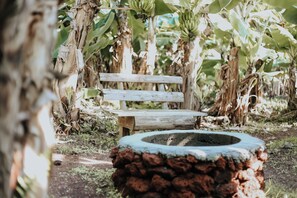 Exterior - Banana Eco Camp (Angra do Heroismo)