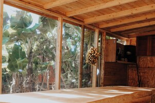 Full-size fridge, cookware/dishes/utensils, spices