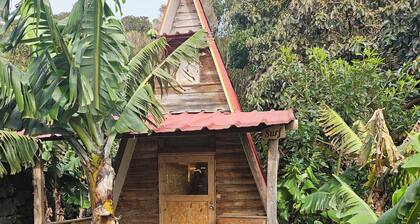 Banana Eco Camp