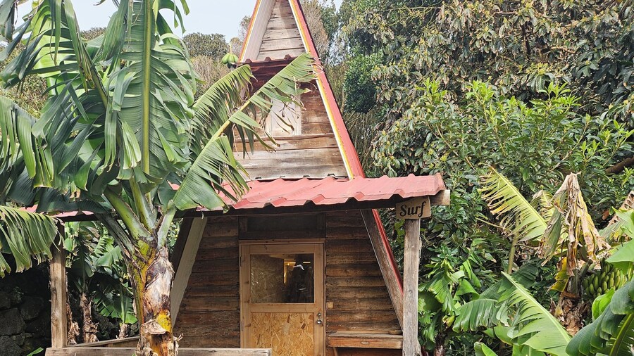 Banana Eco Camp
