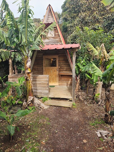 Banana Eco Camp