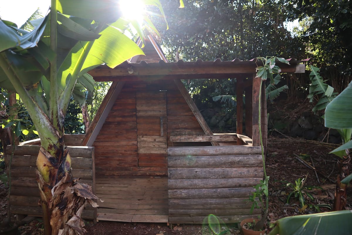 Cabin - Mango