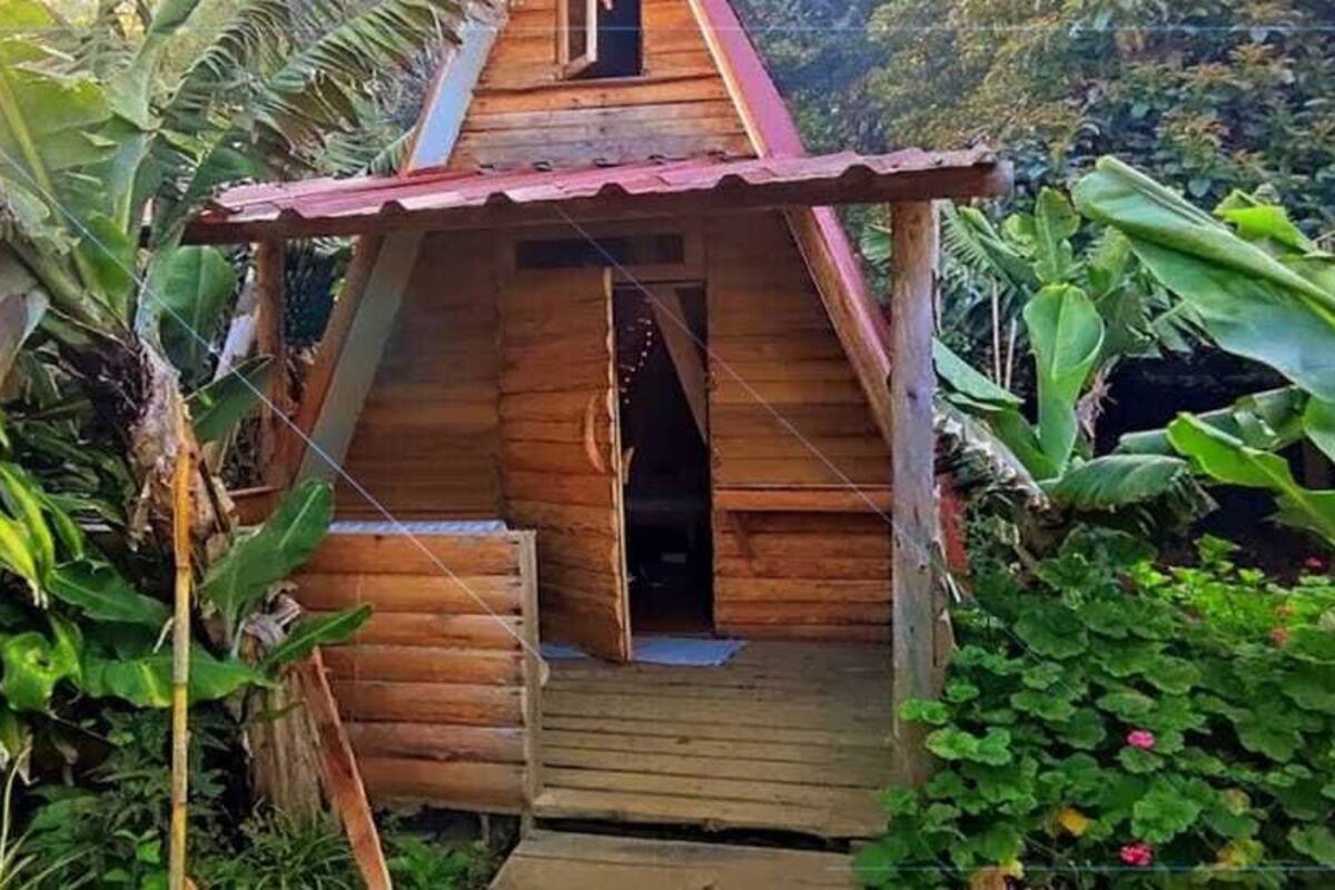 Une cabane en bois avec un toit rouge, entourée d’une végétation luxuriante.