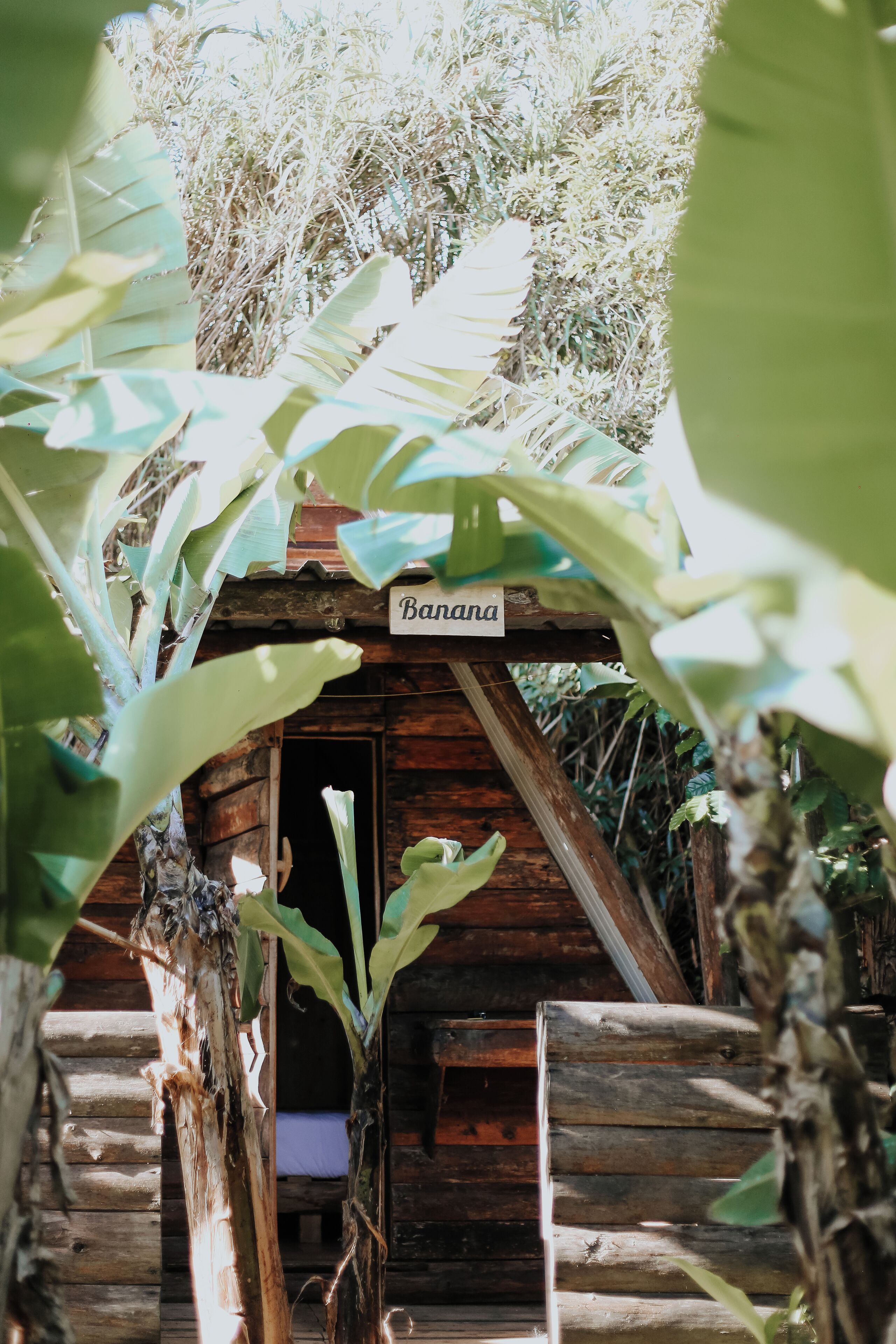 Signature Kulübe | Mısır pamuklu çarşaf takımı, kaliteli yatak takımı, çarşaf takımı 