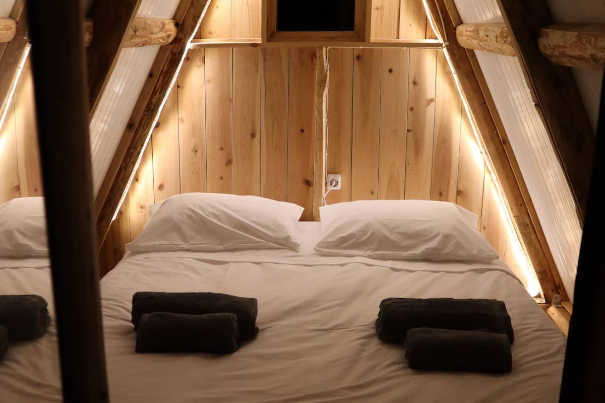 Cabin Avocado