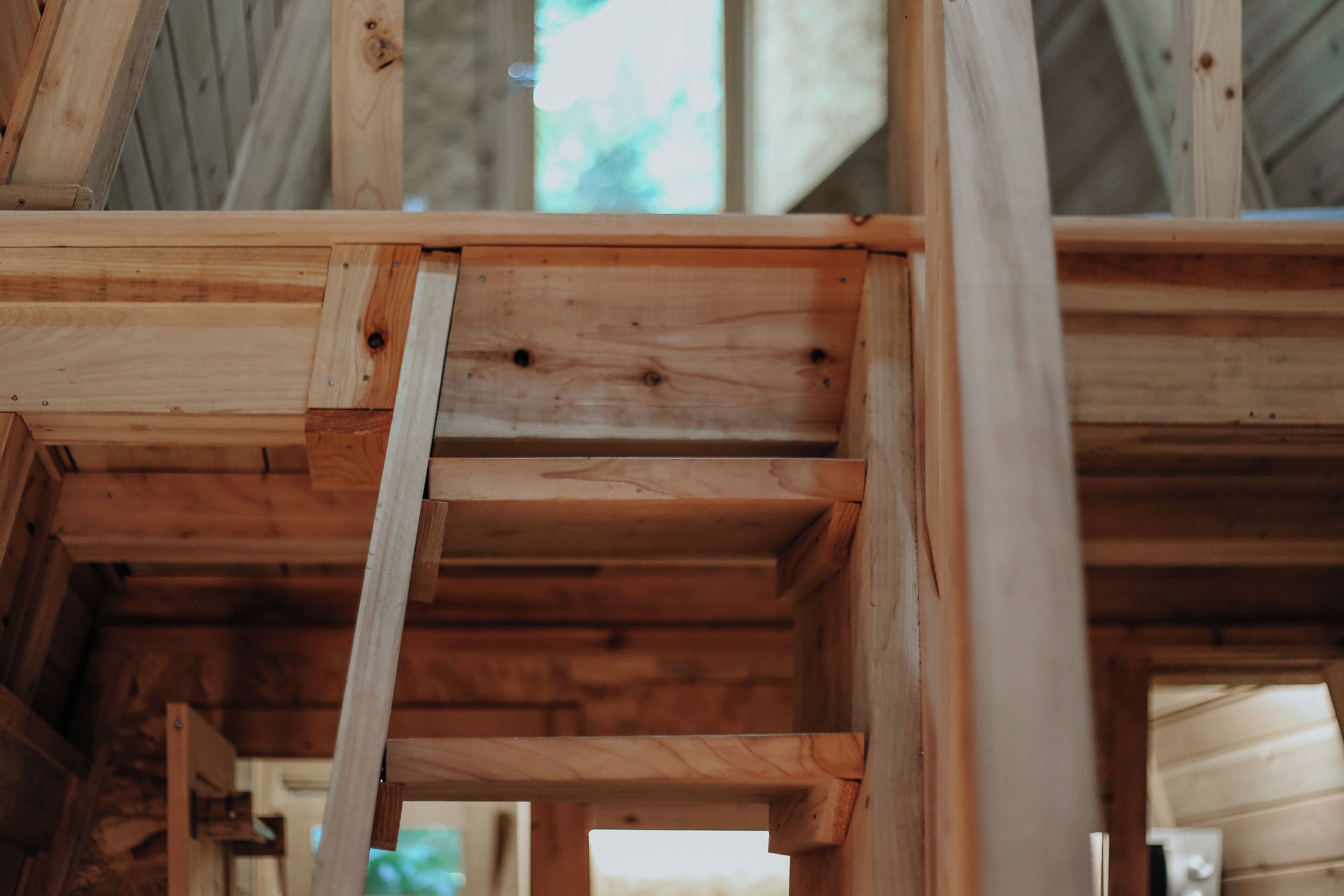 Estructura interior de madera con vigas visibles y techo inclinado, presumiblemente parte de la estructura de un edificio.