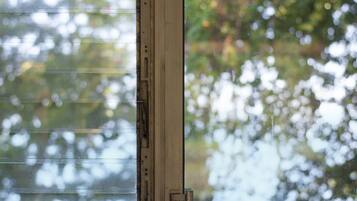 A view through a window with a metal frame and a latch.