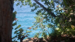 A natural view of a coastal area with trees and foliage. - Luxury Three Bedroom Sea View Villa, Frenchman's Cove Resort (Drapers)