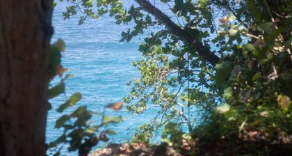 Luxury Three Bedroom Sea View Villa, Frenchman's Cove Resort