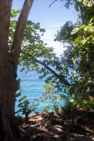 Luxury Three Bedroom Sea View Villa, Frenchman's Cove Resort