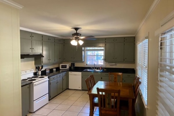 Microones, forn i placa de cuina