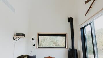 Smart TV y chimenea